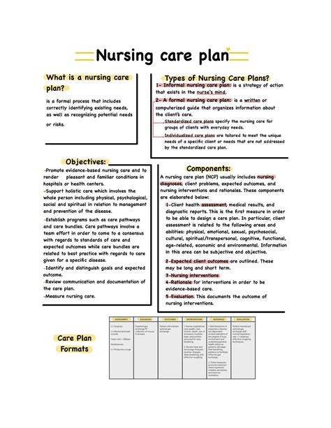Understanding the Plan of Care: Definition and Importance