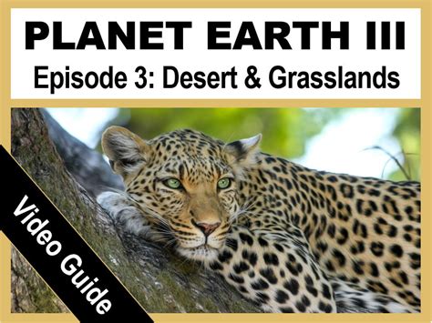 Planet Earth III preview