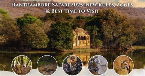 Planning Ranthambore Safari