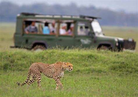 Planning Safari Tour