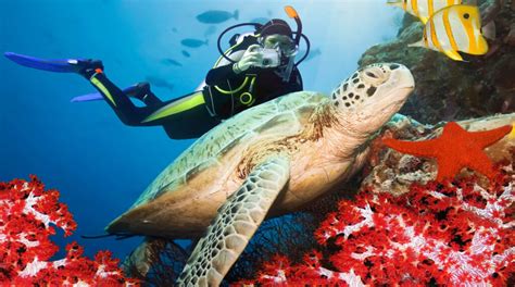 Planning Underwater Adventure