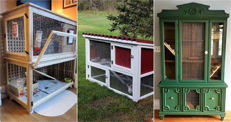 Planning Your DIY Rabbit Cage: A Comprehensive Guide