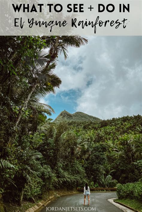 Planning a visit El Yunque