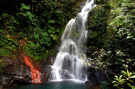 Planning a visit to Cockscomb Basin Belize