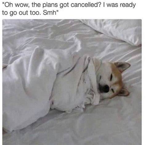 Plans Cancelled Meme