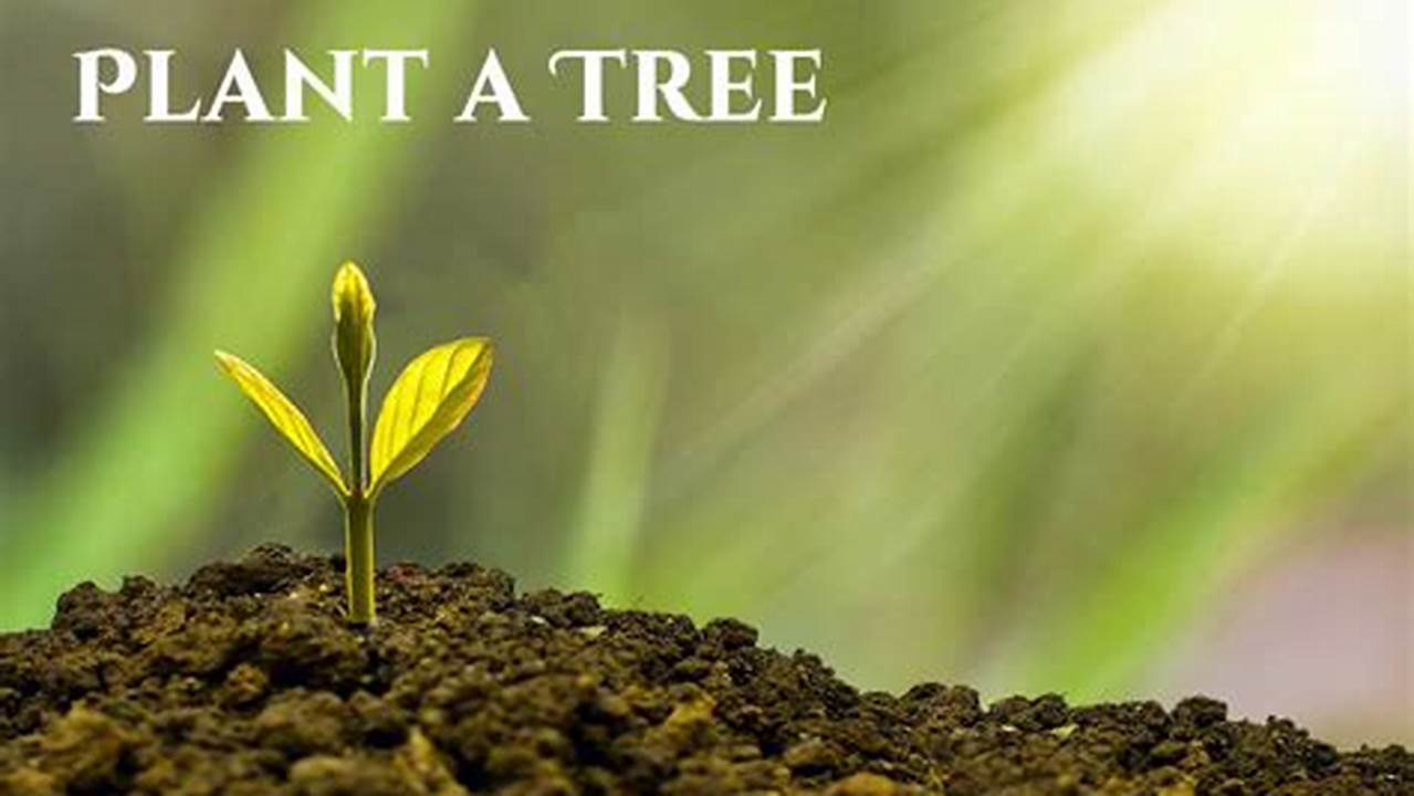 Plant A Tree Day 2024