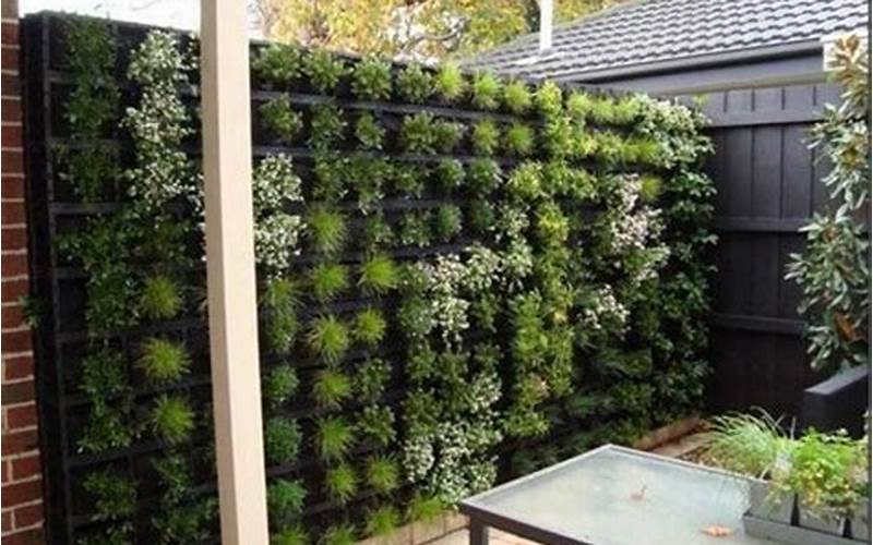 Plant Fence Privacy: Pros And Cons