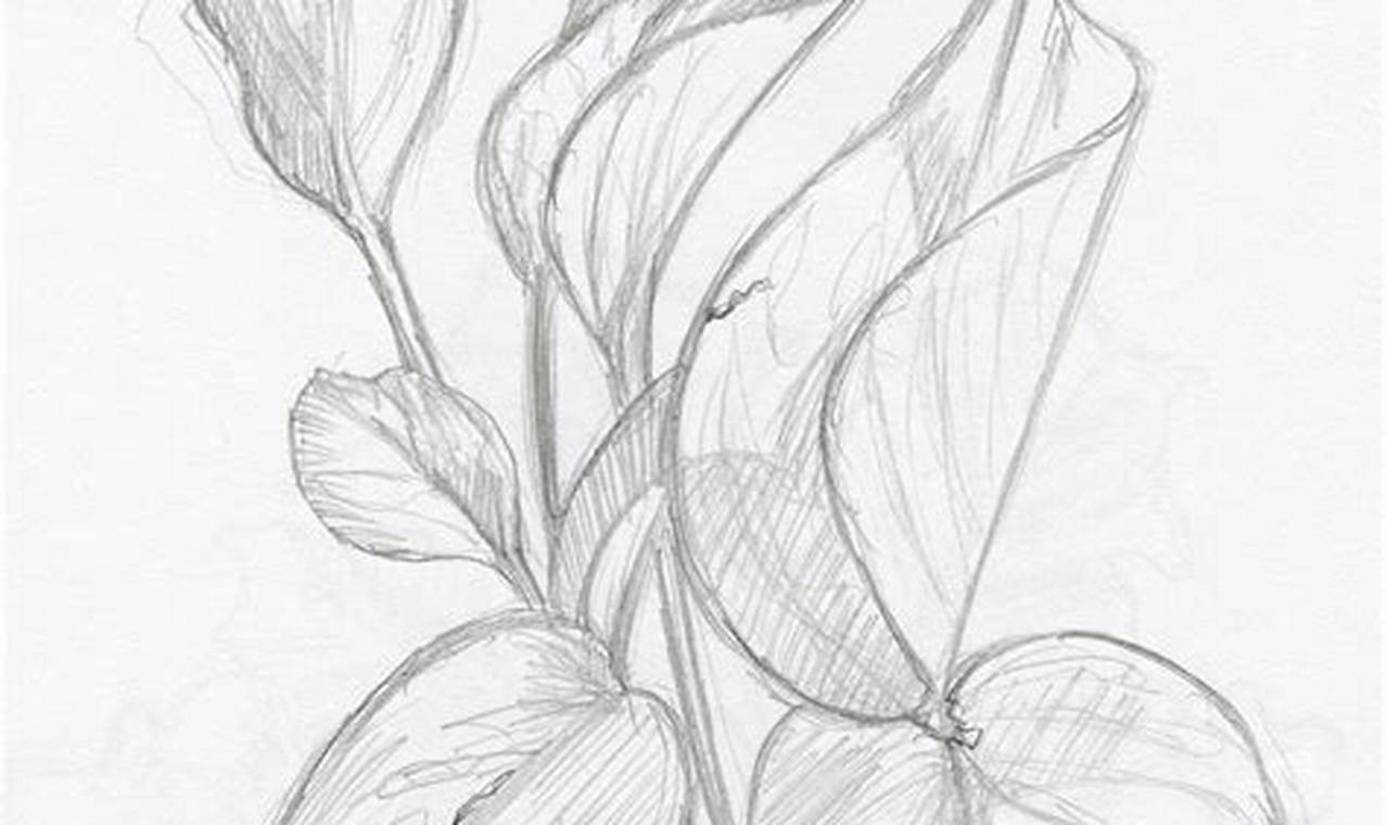 Plant Pencil Drawing: A Comprehensive Guide