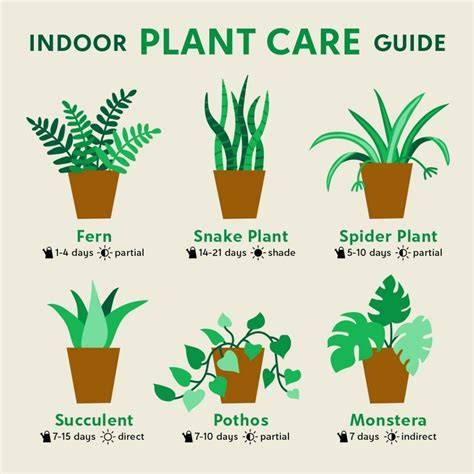 Plant Care