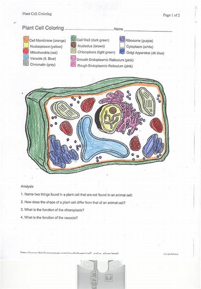 Plant Cell Coloring Guide Answer Key