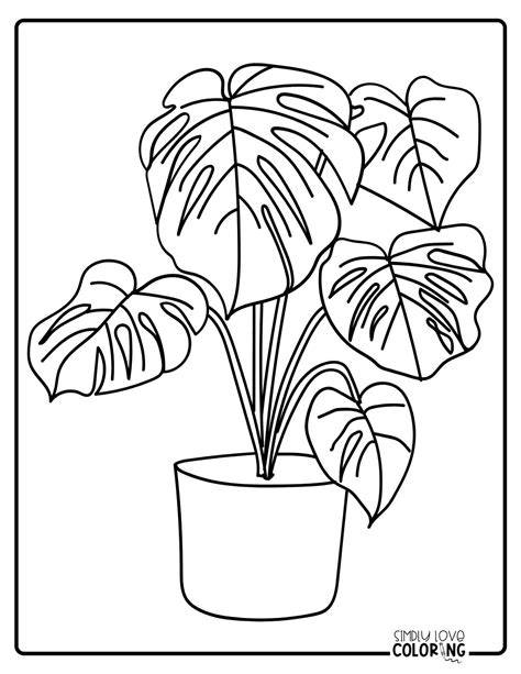 Plant Color Pages