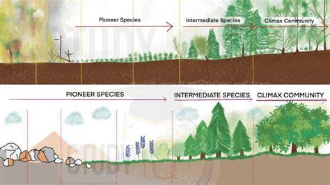 Plant Ecology