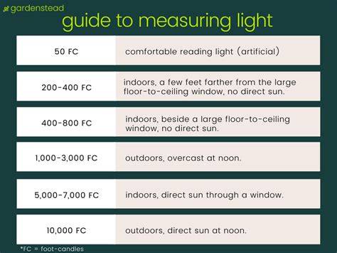 Different plants require varying amounts of light.
