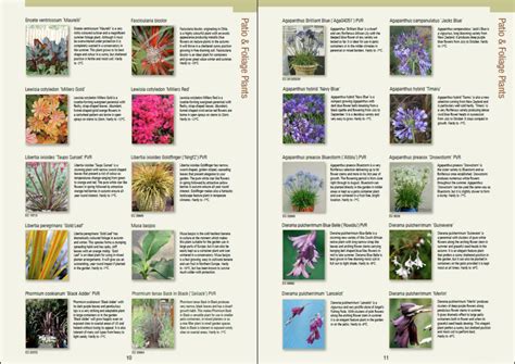 Plant Nursery Catalogs