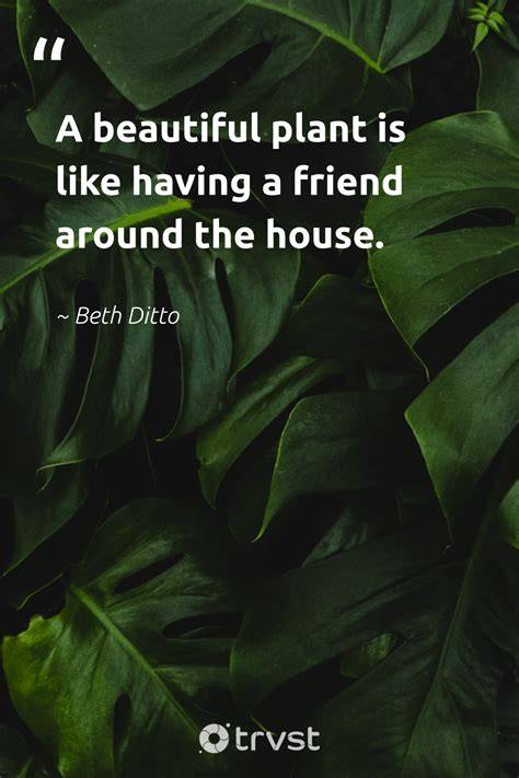 Inspiring Plant Quotes