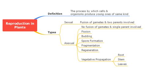 Reproduction in Plants Concept Map Butterfly EduFields Concept