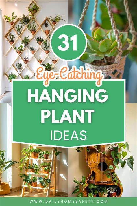 Plant Wall Hanging Maintenance Tips
