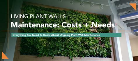 Plant Wall Maintenance