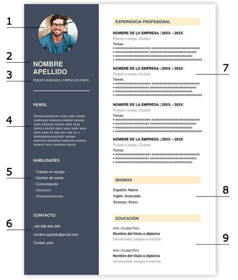 Plantilla Word Curriculum Gratis