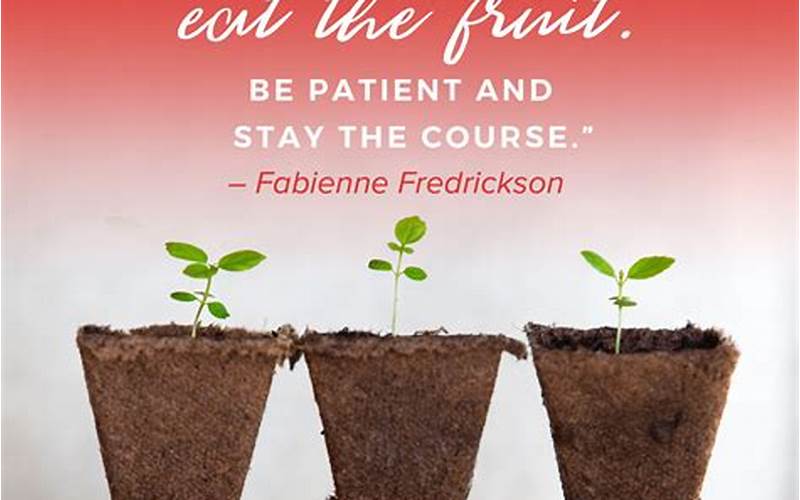 Planting A Seed Quote