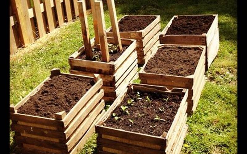 Planting In Wooden Crates