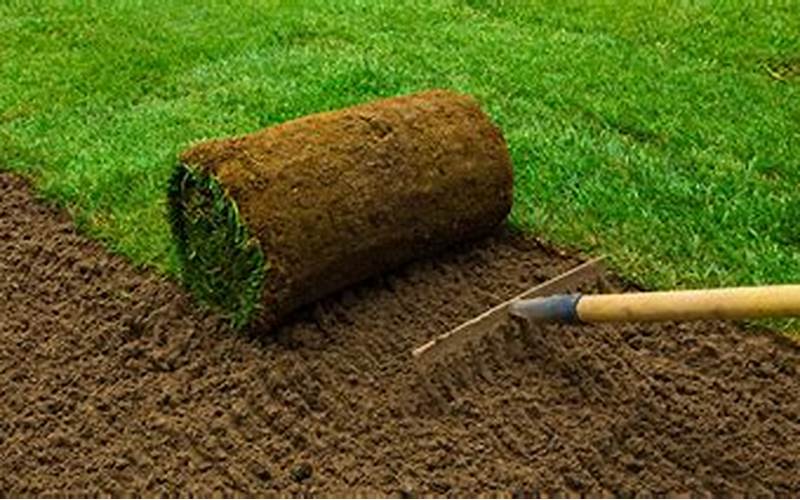 Planting Your Sod