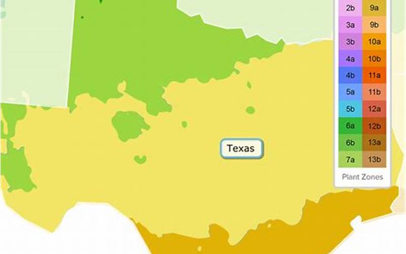 Planting Zone Map Austin Tx