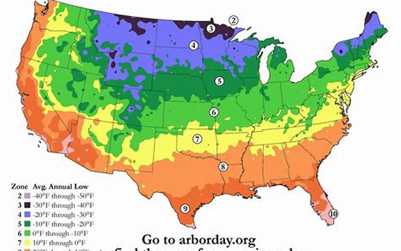 Planting Zone Map Of The Us