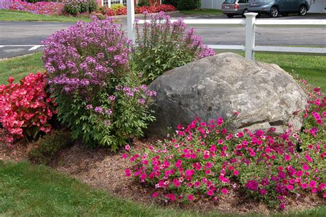 Planting Around Large Rocks: Tips And Tricks For A Beautiful Landscape