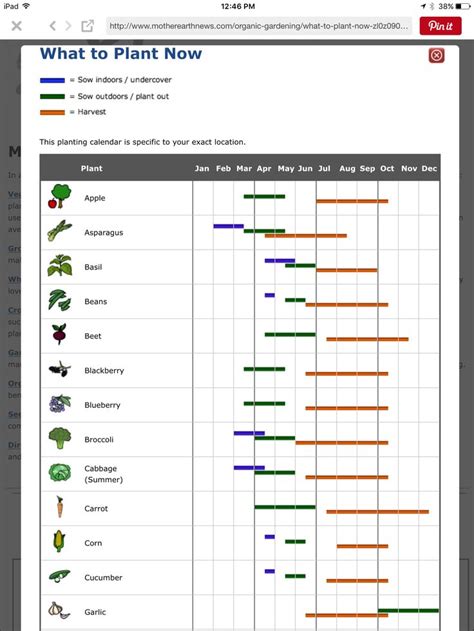 Enter your zip code and this calendar will tell you what to plant and