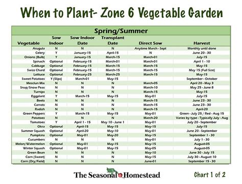 Planting Calendar For Zone 6
