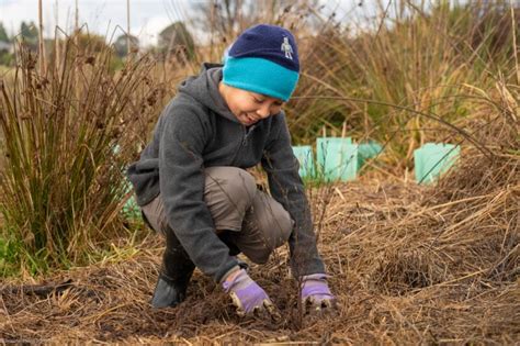 Planting Native Plants