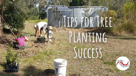 Planting Tips for Success