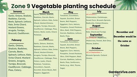 Planting Zone 9 Vegetables