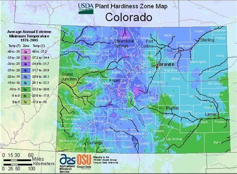 Planting Zone Denver Colorado