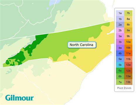 Planting Zone Eastern Nc