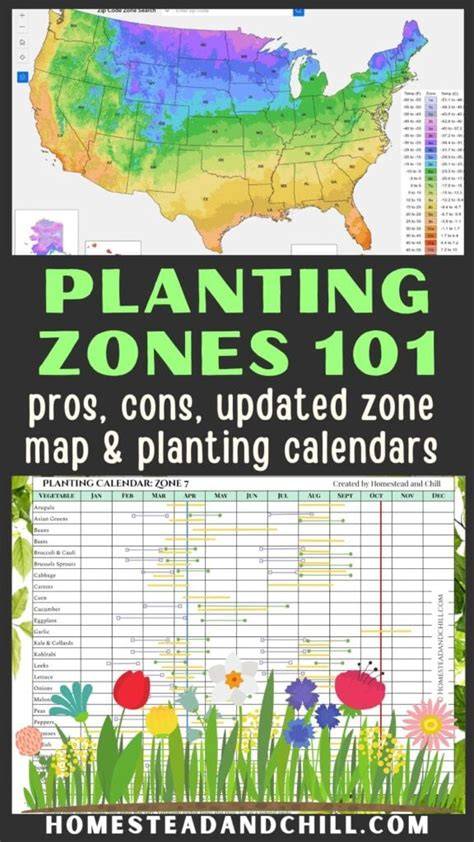 Planting Zone Landscape