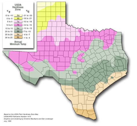 Planting Zones In Texas