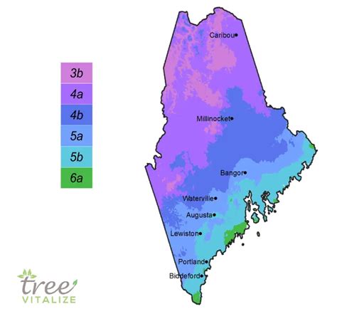 Planting Zones Maine