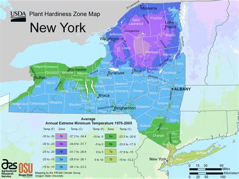 Planting Zones Ny