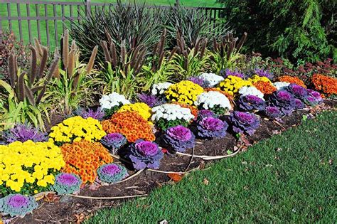 Planting annuals in fall