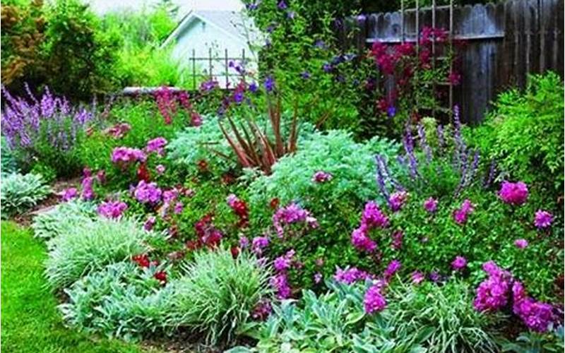 Plants With Different Heights In A Backyard Landscape