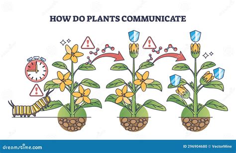 Plants Communicating