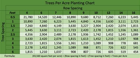 Calculate Your Crop Yield: Introducing the Plants Per Acre Calculator