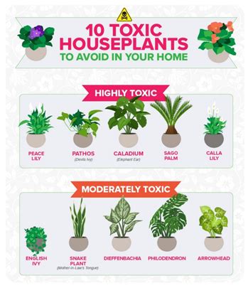 Plants to avoid when selling a house