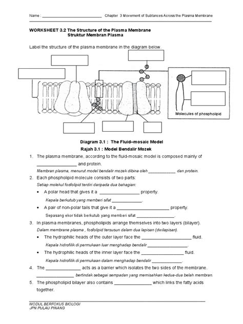 Plasma Membrane Worksheet