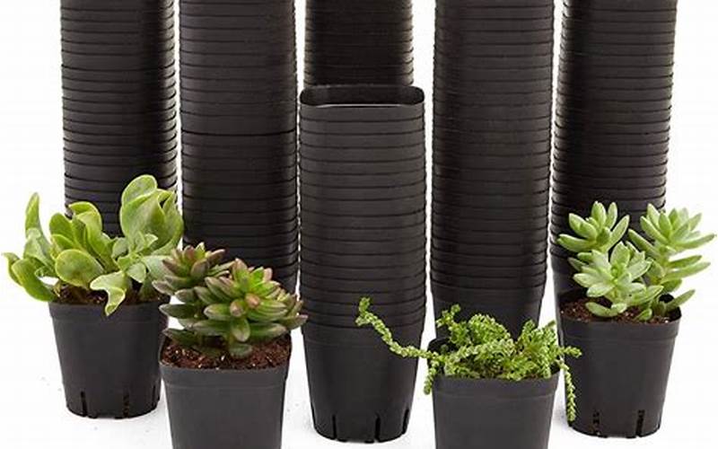 Plastic Indoor Plant Pots