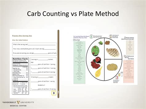 Plate Method vs. Carb Counting