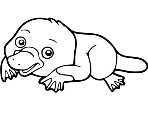 Platypus Coloring Page