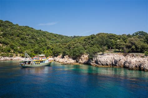 55h Plavnik Island Swim Snorkel with Capt Bobo: An In-Depth Look